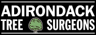 Adirondack Tree Surgeons