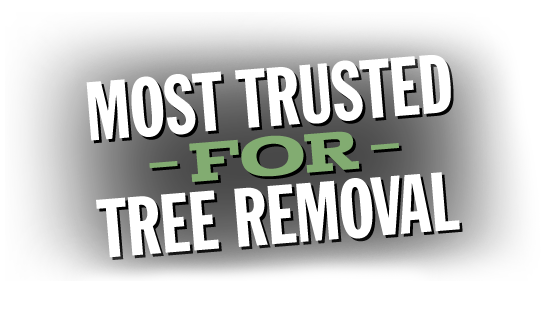 Most Trusted in Tree Services