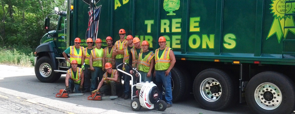 Adirondack Residential, Commercial, and Emergency Tree Service by the Adirondack Tree Surgeons