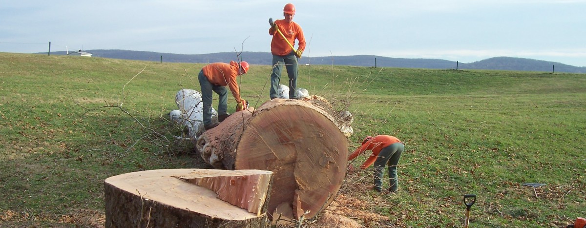 Adirondack Residential, Commercial, and Emergency Tree Service