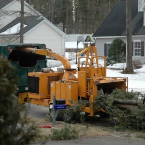 Adirondack Residential, Commercial, and Emergency Tree Service