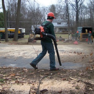 Adirondack Residential, Commercial, and Emergency Tree Service