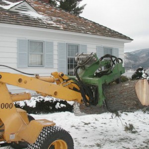 Adirondack Residential, Commercial, and Emergency Tree Service