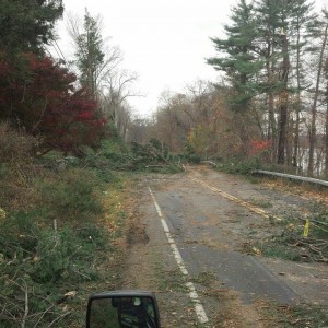 Adirondack Residential, Commercial, and Emergency Tree Service