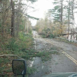 Adirondack Residential, Commercial, and Emergency Tree Service
