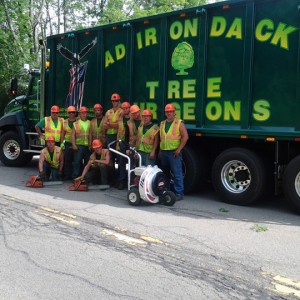 Adirondack Residential, Commercial, and Emergency Tree Service