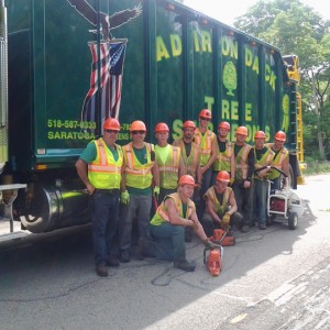Adirondack Residential, Commercial, and Emergency Tree Service