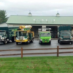 Adirondack Residential, Commercial, and Emergency Tree Service