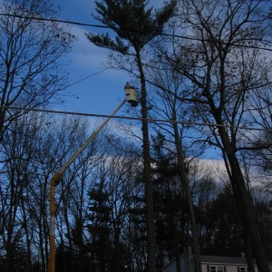 Adirondack Residential, Commercial, and Emergency Tree Service