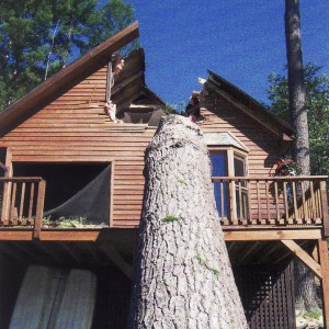 Emergency Tree Removal Services Available 24/7 in Upstate NY & The Adirondacks