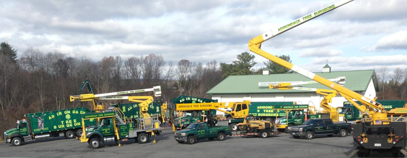 Adirondack Tree Surgeons