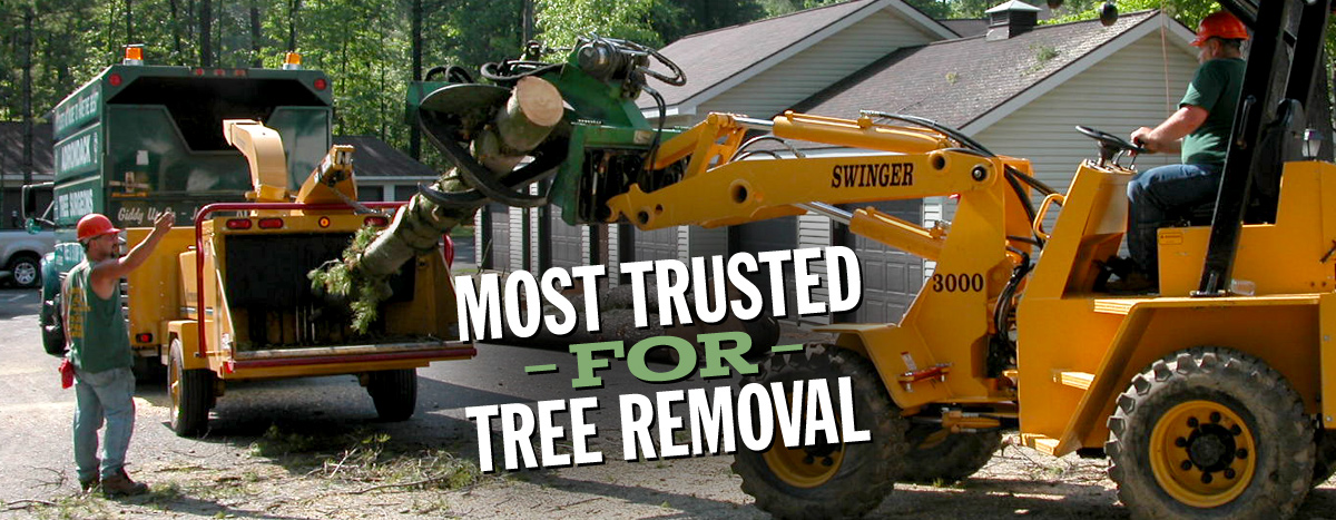 More Trusted for Tree Removal
