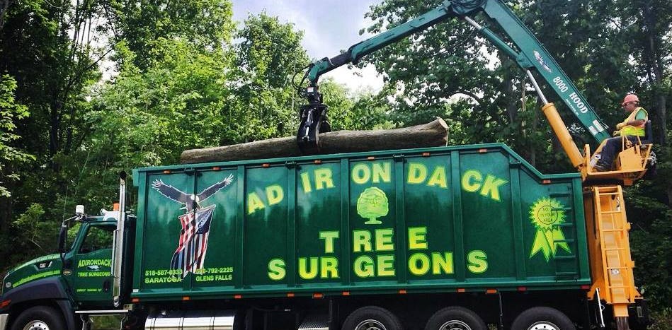Tree Removal by Adirondack Tree Surgeons